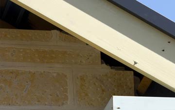 soffit repair Brincliffe